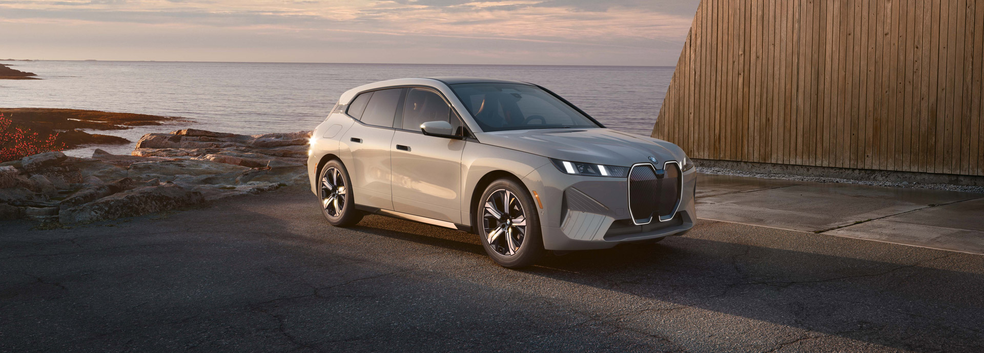 2026 BMW iX Photo