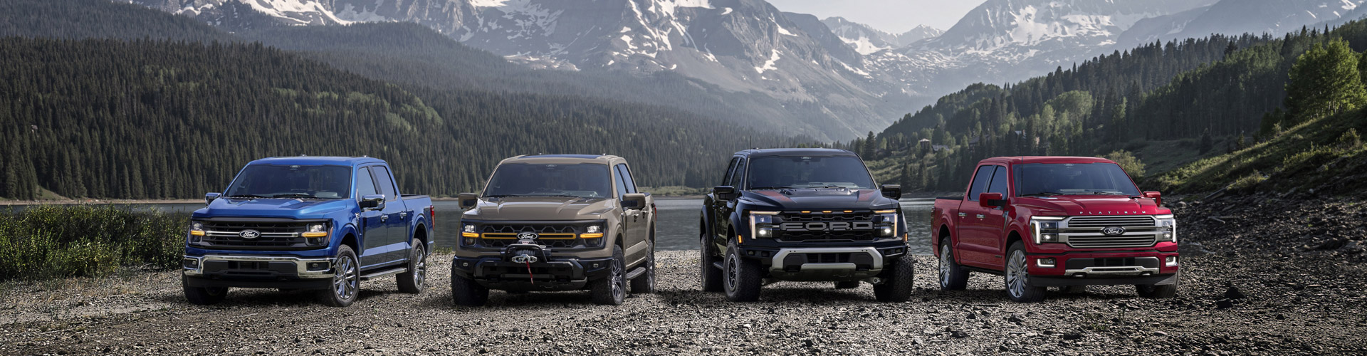 A Line-up of Ford F-150 trucks