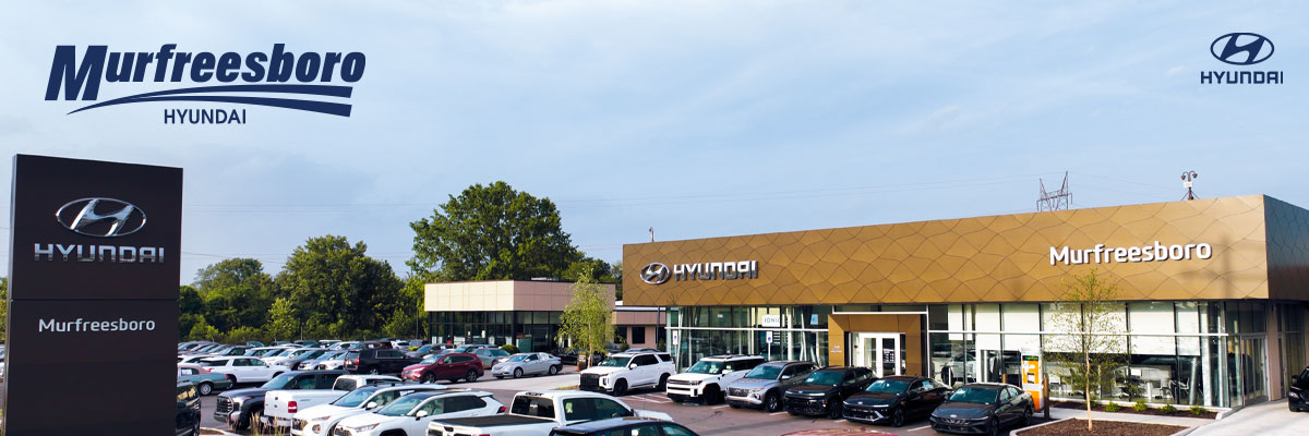 A 2024 Hyundai Santa Fe in rockwood green pearl parked off-road by a lake