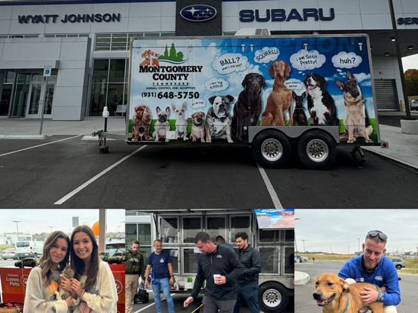 A collection of community event photos from events hosted and sponsored by Wyatt Johnson Subaru