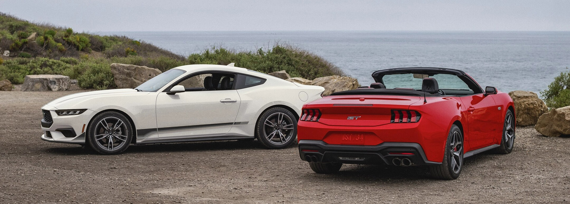 2025 Ford Mustang Photo