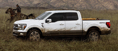 2026 Ford F-150 Photo