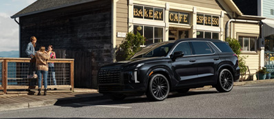 2025 Hyundai Palisade Photo