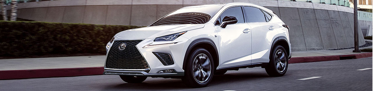 2020 Lexus NX 300 Lifestyle Photo