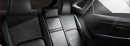 2020 Lexus NX 300 Interior