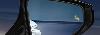 2021 Lexus ES 250 Safety Features