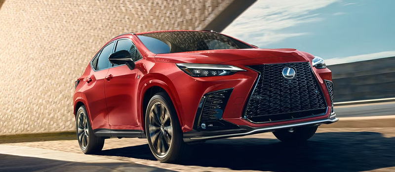 2025 Lexus NX 350 Photo