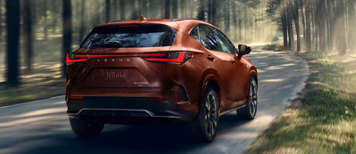 2025 Lexus NX 350 Photo