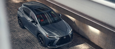2025 Lexus NX 350 Photo