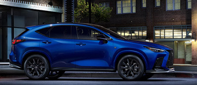 2025 Lexus NX 350 Photo
