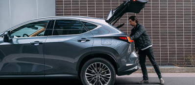 2025 Lexus NX 350 Photo