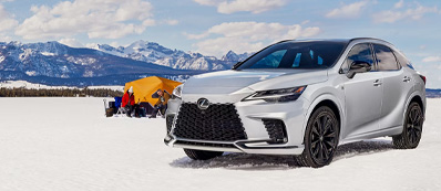 2025 Lexus RX 350 Photo
