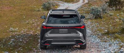 2025 Lexus RX 350 Photo