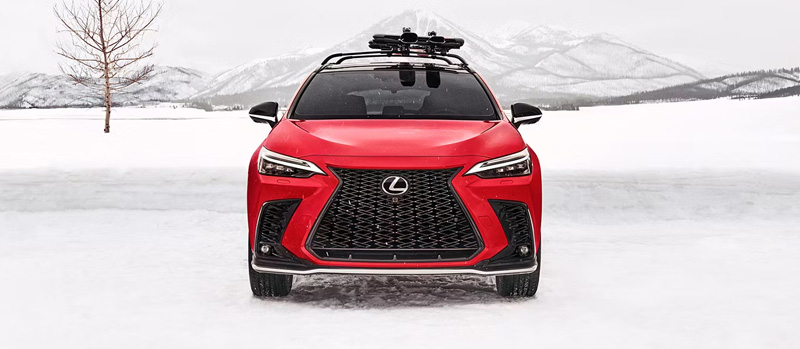 2026 Lexus NX Photo
