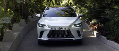 2026 Lexus RX Photo