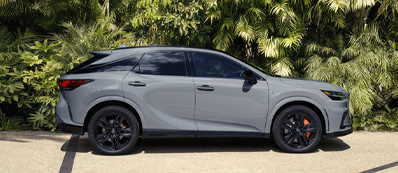 2026 Lexus RX Photo