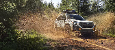 2026 Subaru Forester Photo