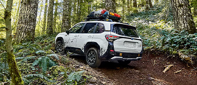 2026 Subaru Forester Photo