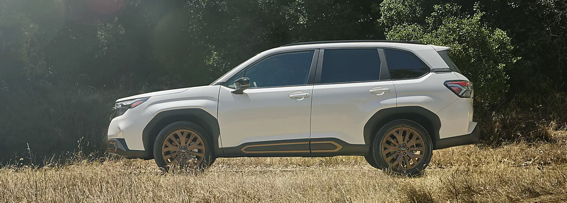 2026 Subaru Forester Photo